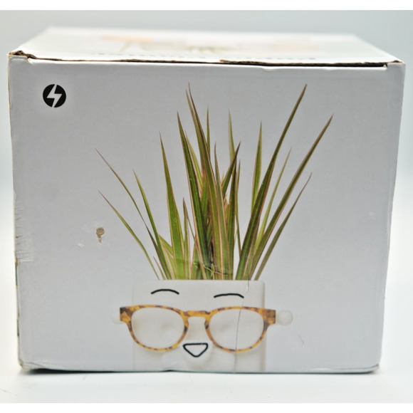 Ceramic Puppy Planter by 30 Watt Glasses Holder Customizable - Picture 4 of 9